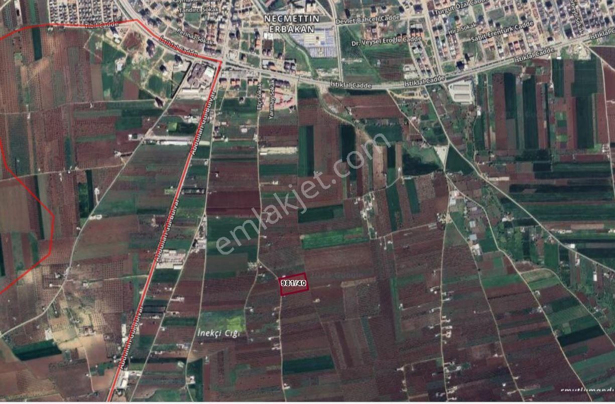 Babil Emlaktan Satlık Şehre Yakın Üç Tarafı Yol Muhteşem Fıstık - Görsel 5