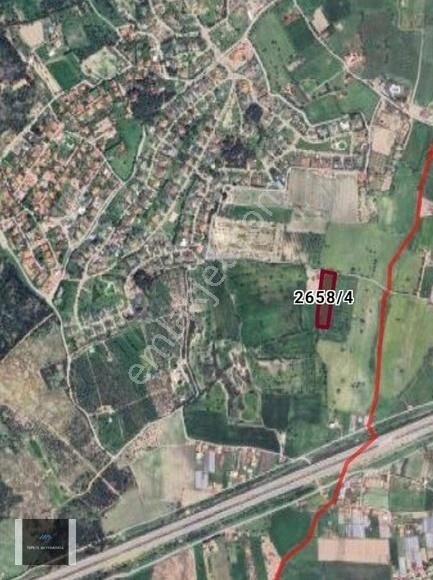 Urla İçmeler 5.442m2 İtokent Arkası Düz Ve Yemyeşil Tarla - Görsel 12