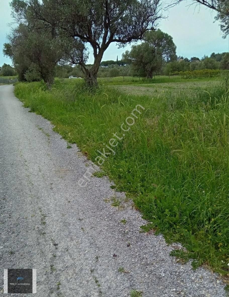 Urla İçmeler 5.442m2 İtokent Arkası Düz Ve Yemyeşil Tarla - Görsel 5