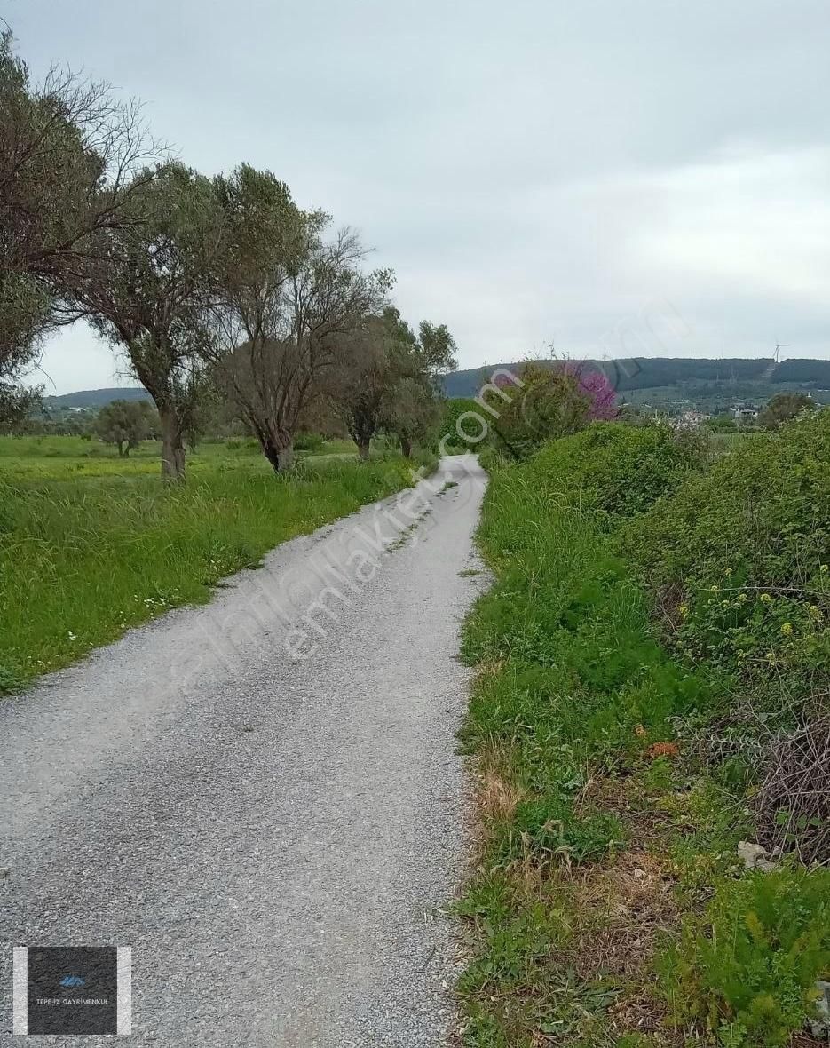 Urla İçmeler 5.442m2 İtokent Arkası Düz Ve Yemyeşil Tarla - Görsel 7