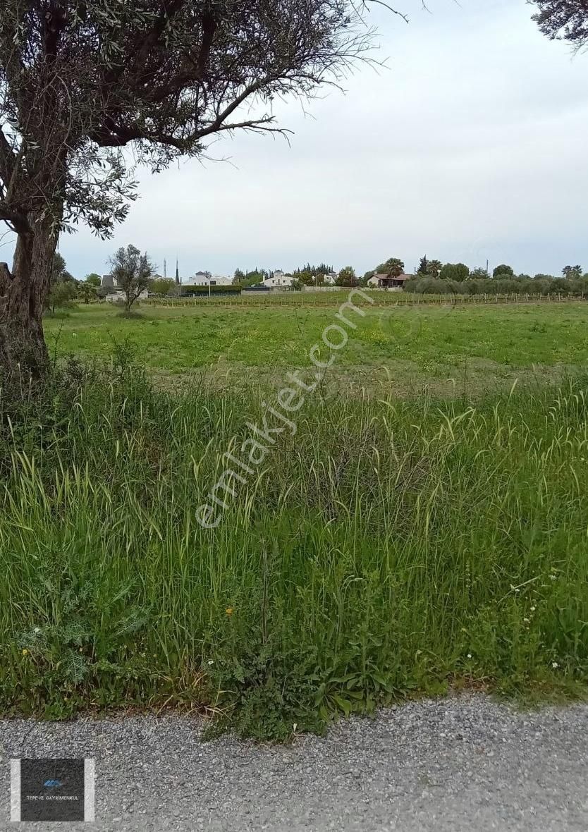 Urla İçmeler 5.442m2 İtokent Arkası Düz Ve Yemyeşil Tarla - Görsel 9