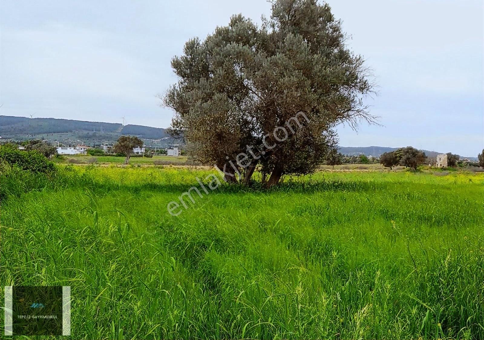 İçmelerde 3.203 M2 Kadastrol Yolu Olan %5 İmarlı Tarla - Görsel 7