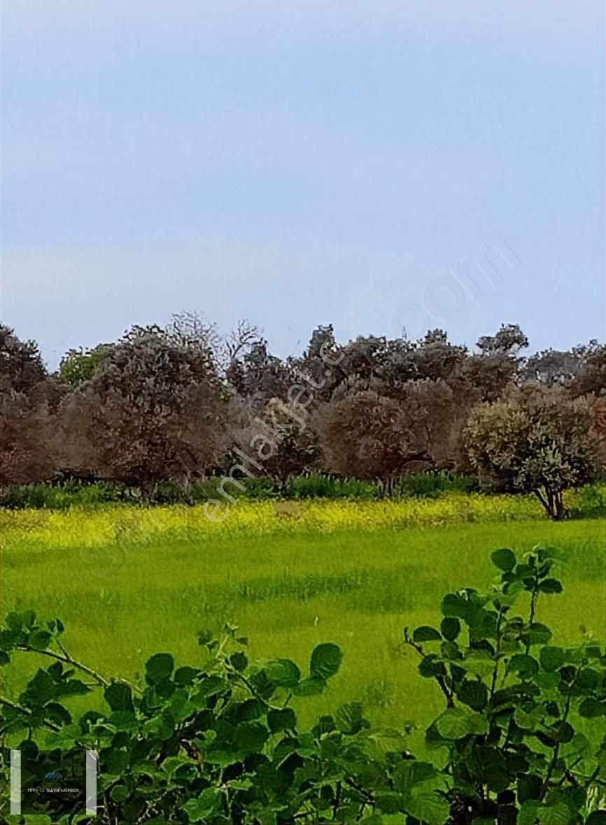 İçmelerde 3.203 M2 Kadastrol Yolu Olan %5 İmarlı Tarla - Görsel 2