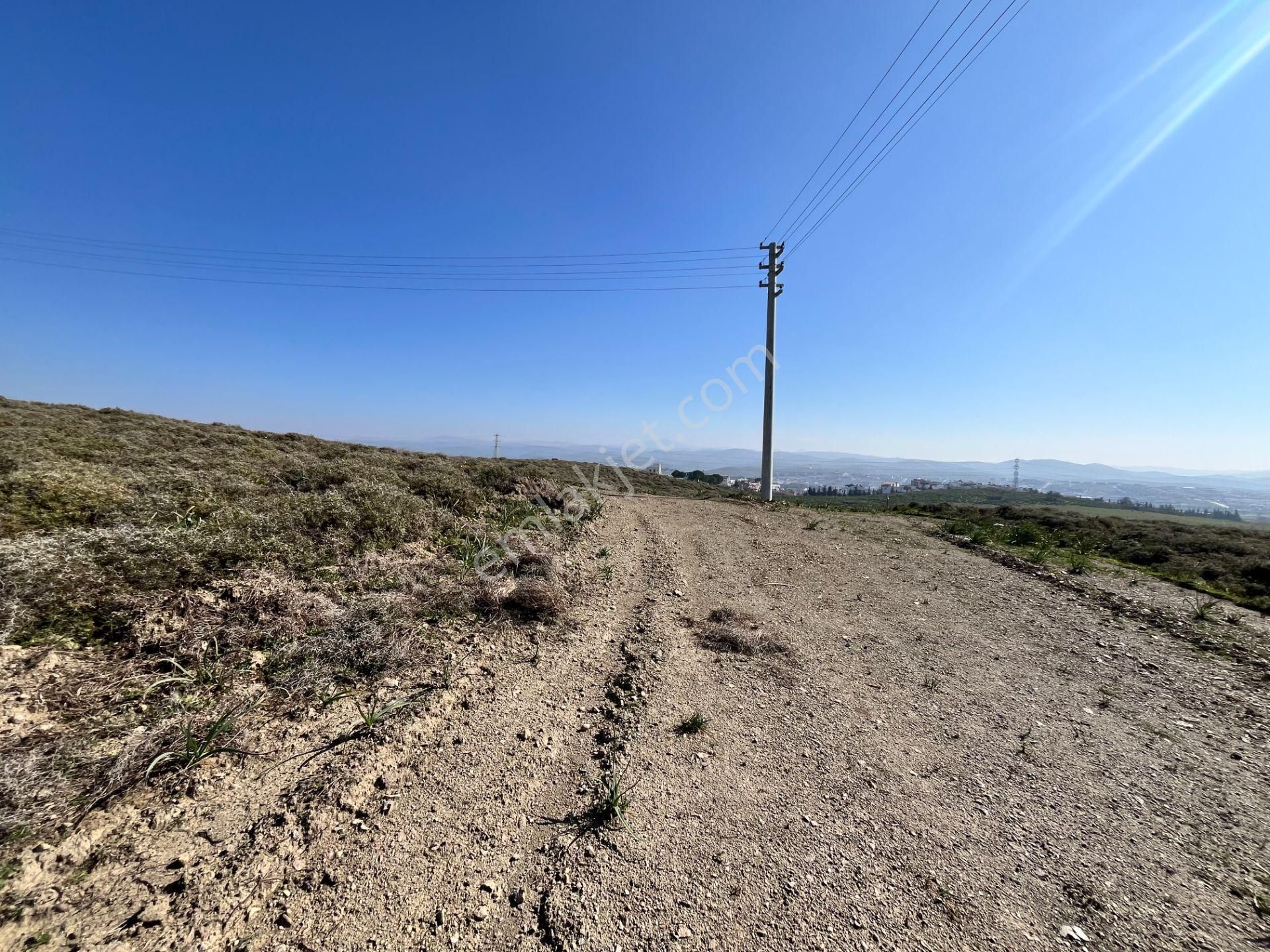 Seferihisar Düzce Mahallesi'nde Yatırıma Uygun Satılık Villa İmarlı Arsa - Görsel 15
