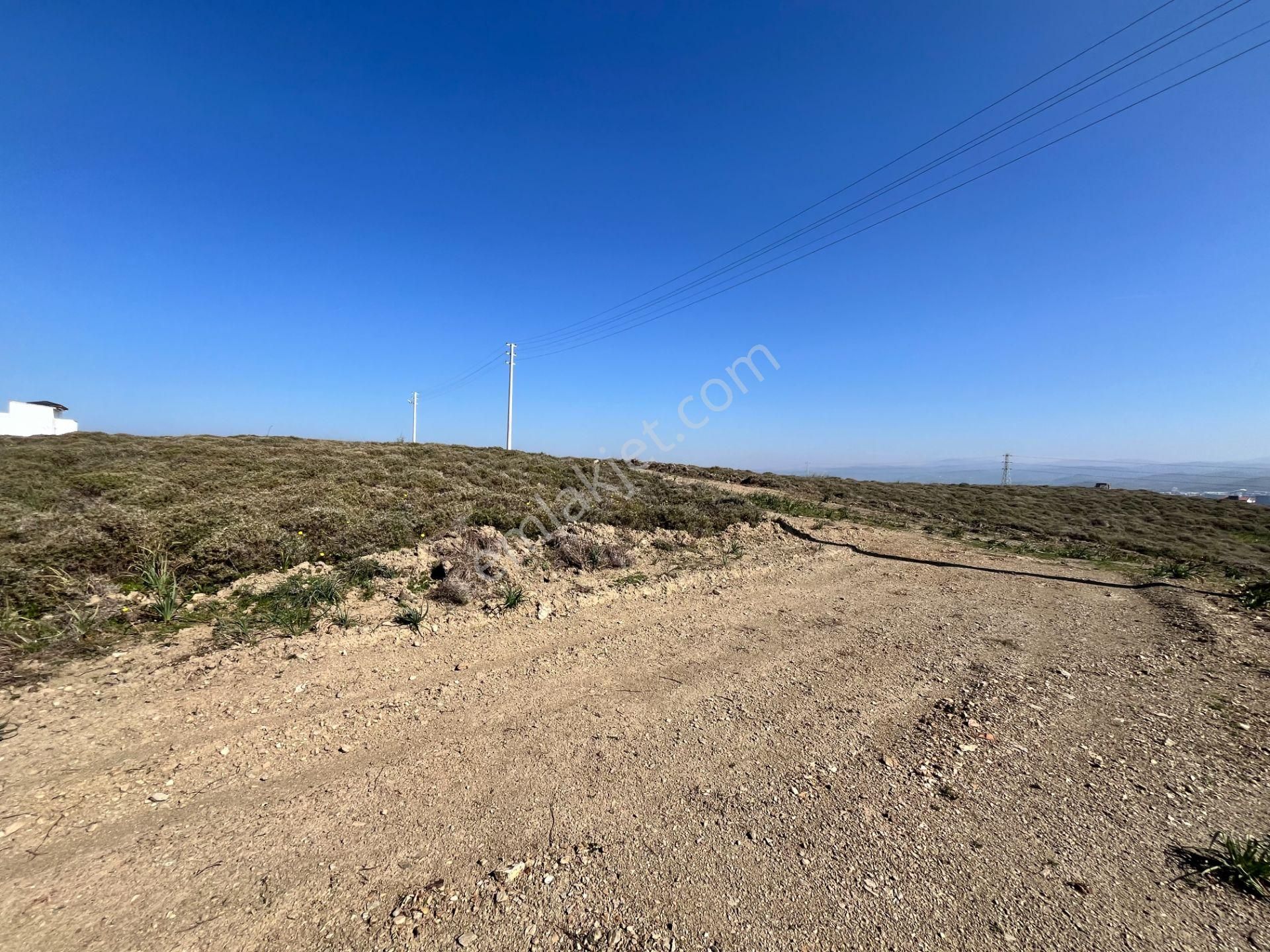 Seferihisar Düzce Mahallesi'nde Yatırıma Uygun Satılık Villa İmarlı Arsa - Görsel 5