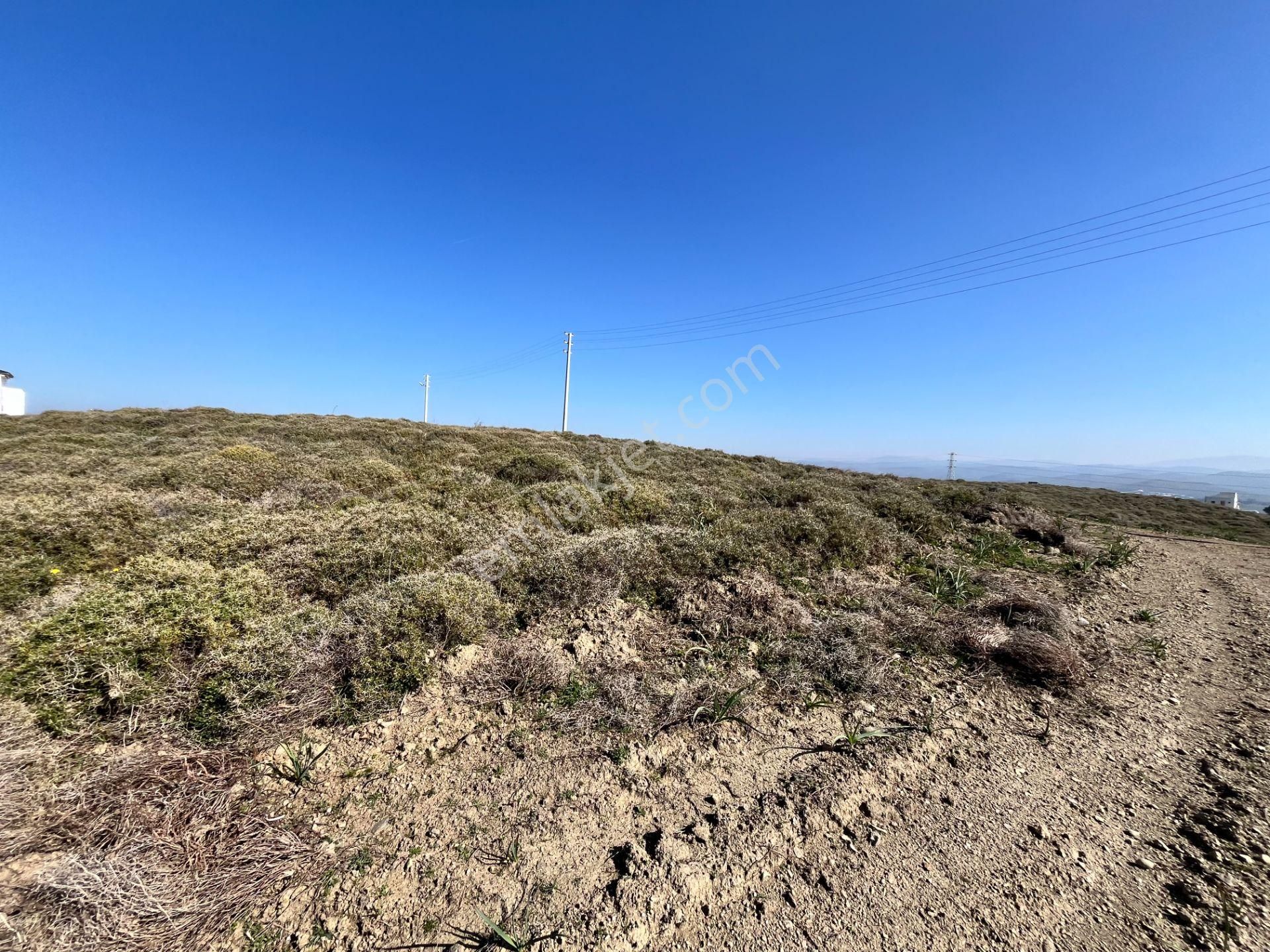 Seferihisar Düzce Mahallesi'nde Yatırıma Uygun Satılık Villa İmarlı Arsa - Görsel 11