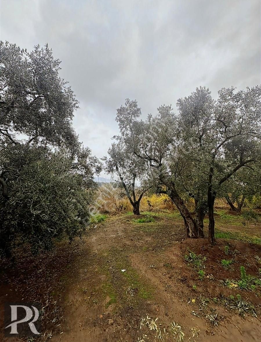 Erdek Yalı Satılık Turizm İmarlı P&r Gayrimenkul'den Satılık Yalı Mahallesinde Arsa