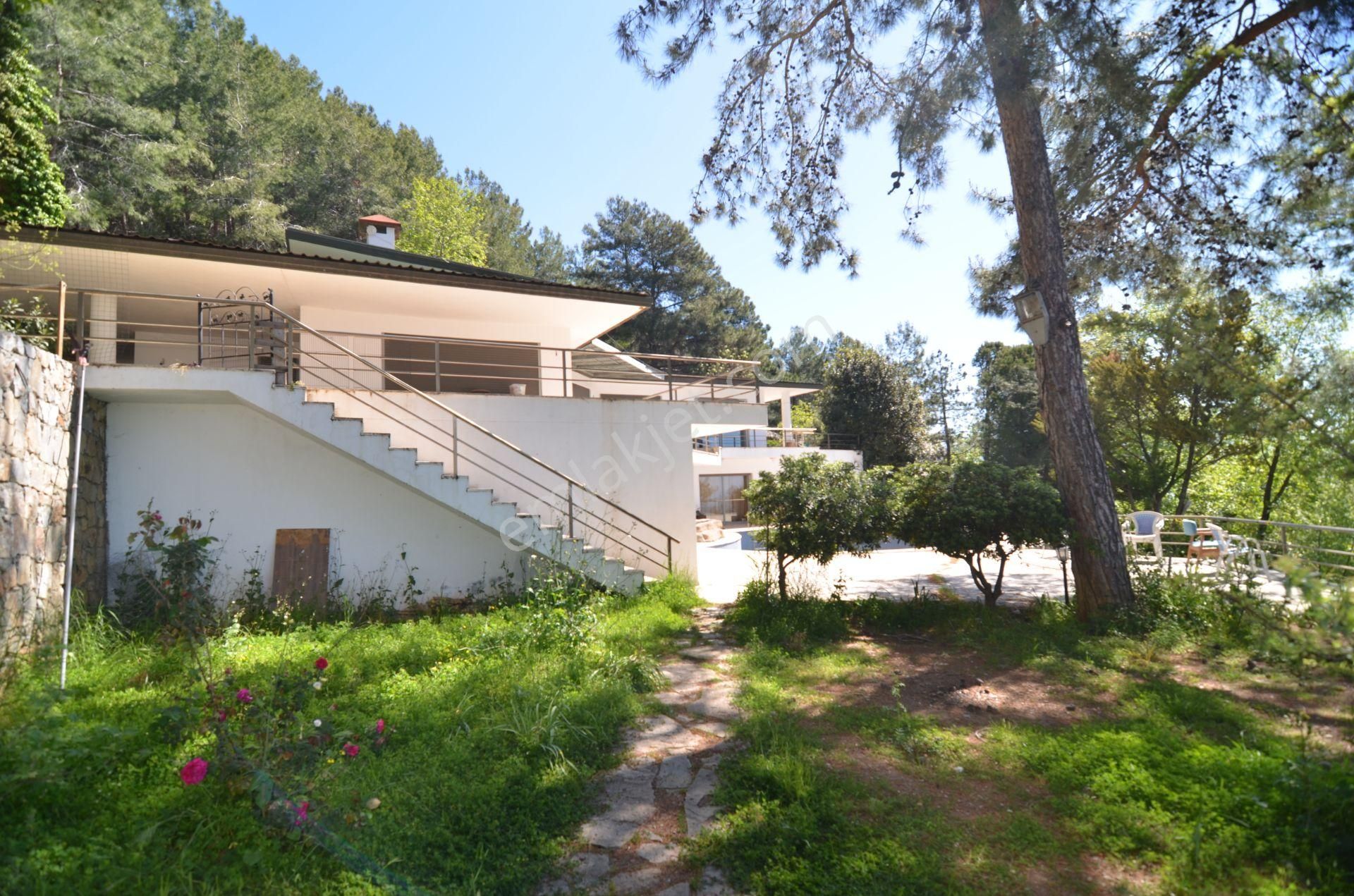 Alanya Da Satılık Turistlik Tesis (snowdrop) - Görsel 17