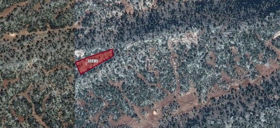 Silifke Kepez Satılık Tarla Silifke Kepezde 3732m2 Fırsat Fiyata Satılık Tarla