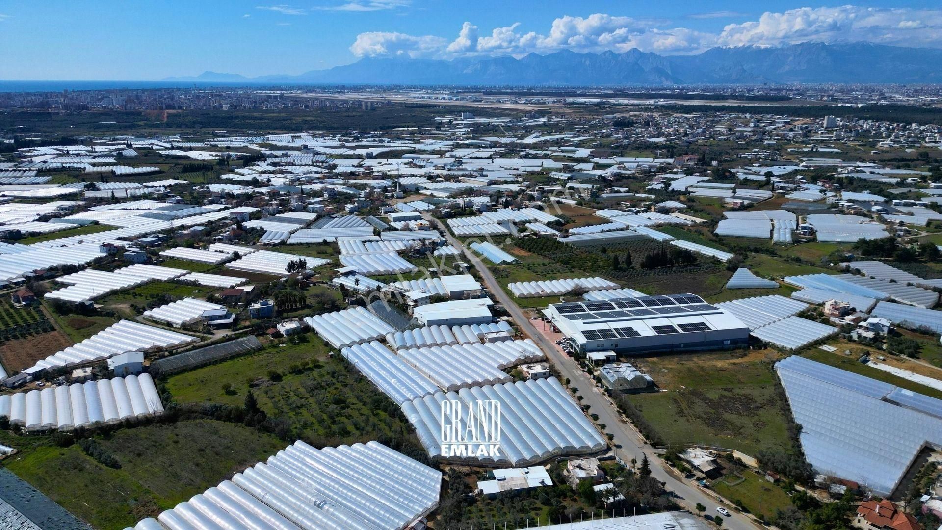 Antalya, Hacıaliler’de 5.000 M2 Satılık Arazi