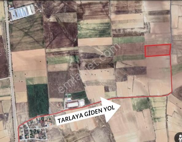 Konya Hatunsarayda Yatırım Tarım Ve Al-sat İçin Uygun Arazi - Görsel 2