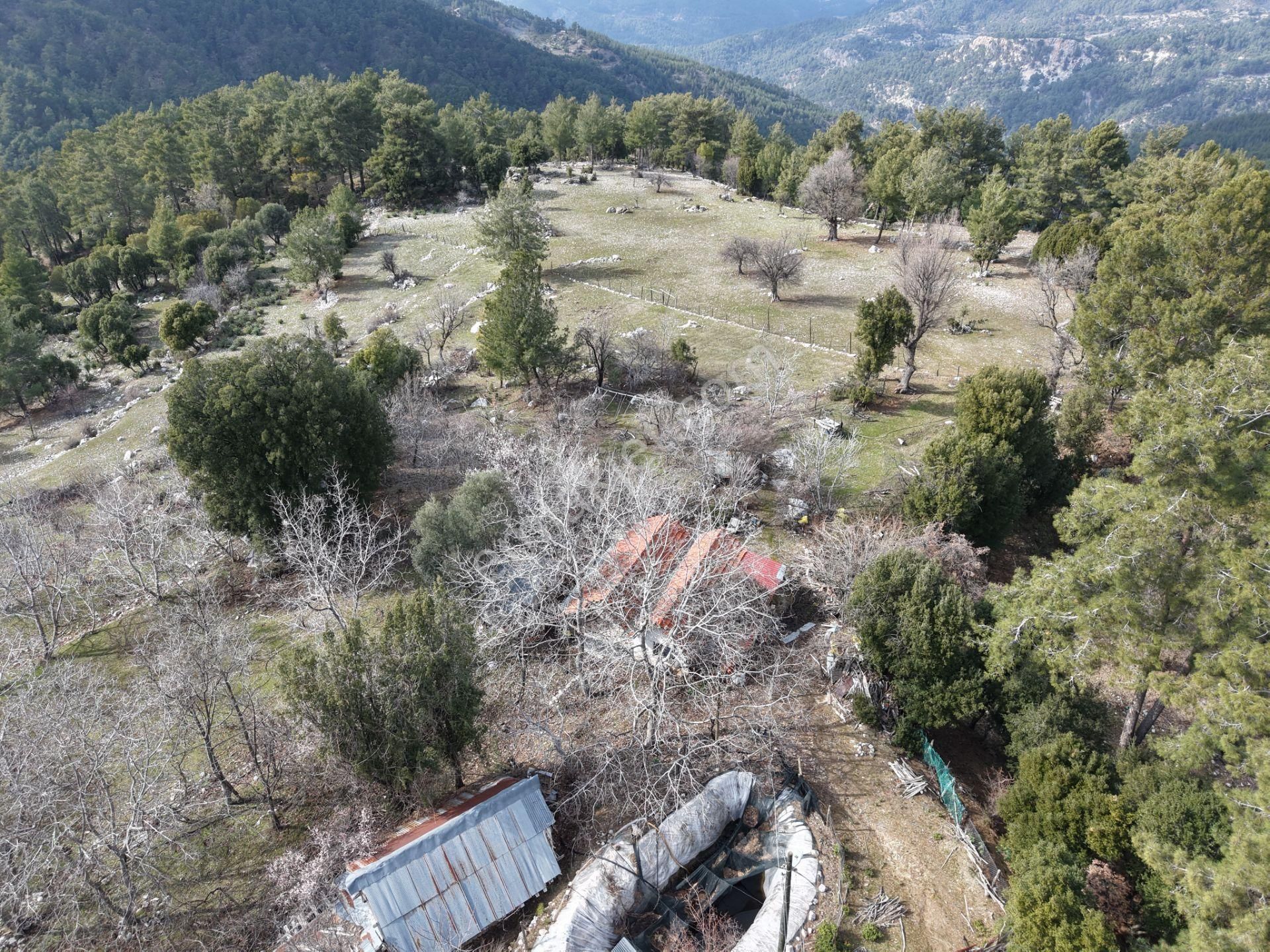 Antalya Kumluca Altınyaka Mahallesinde Satılık Arazi - Görsel 9