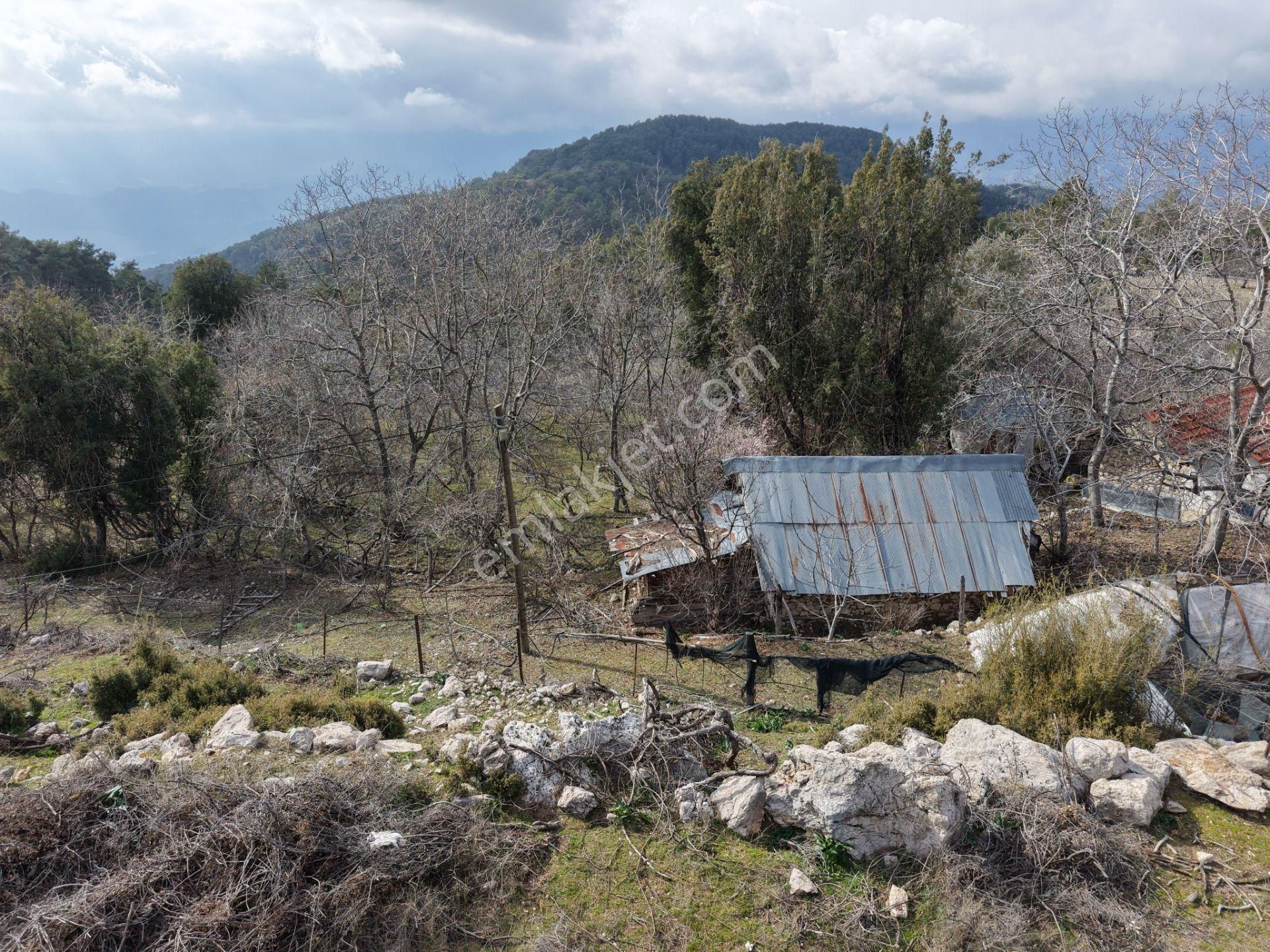 Antalya Kumluca Altınyaka Mahallesinde Satılık Arazi - Görsel 6