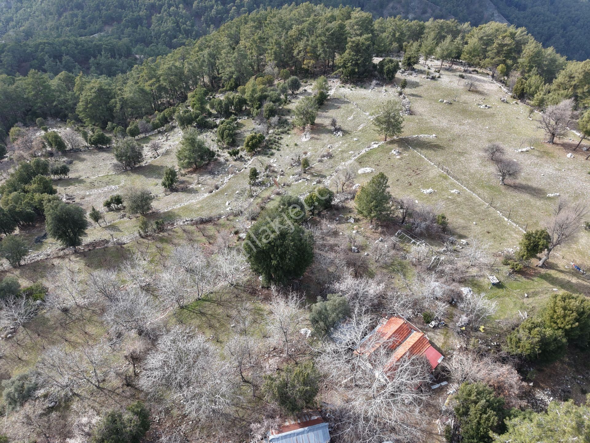 Antalya Kumluca Altınyaka Mahallesinde Satılık Arazi - Görsel 12