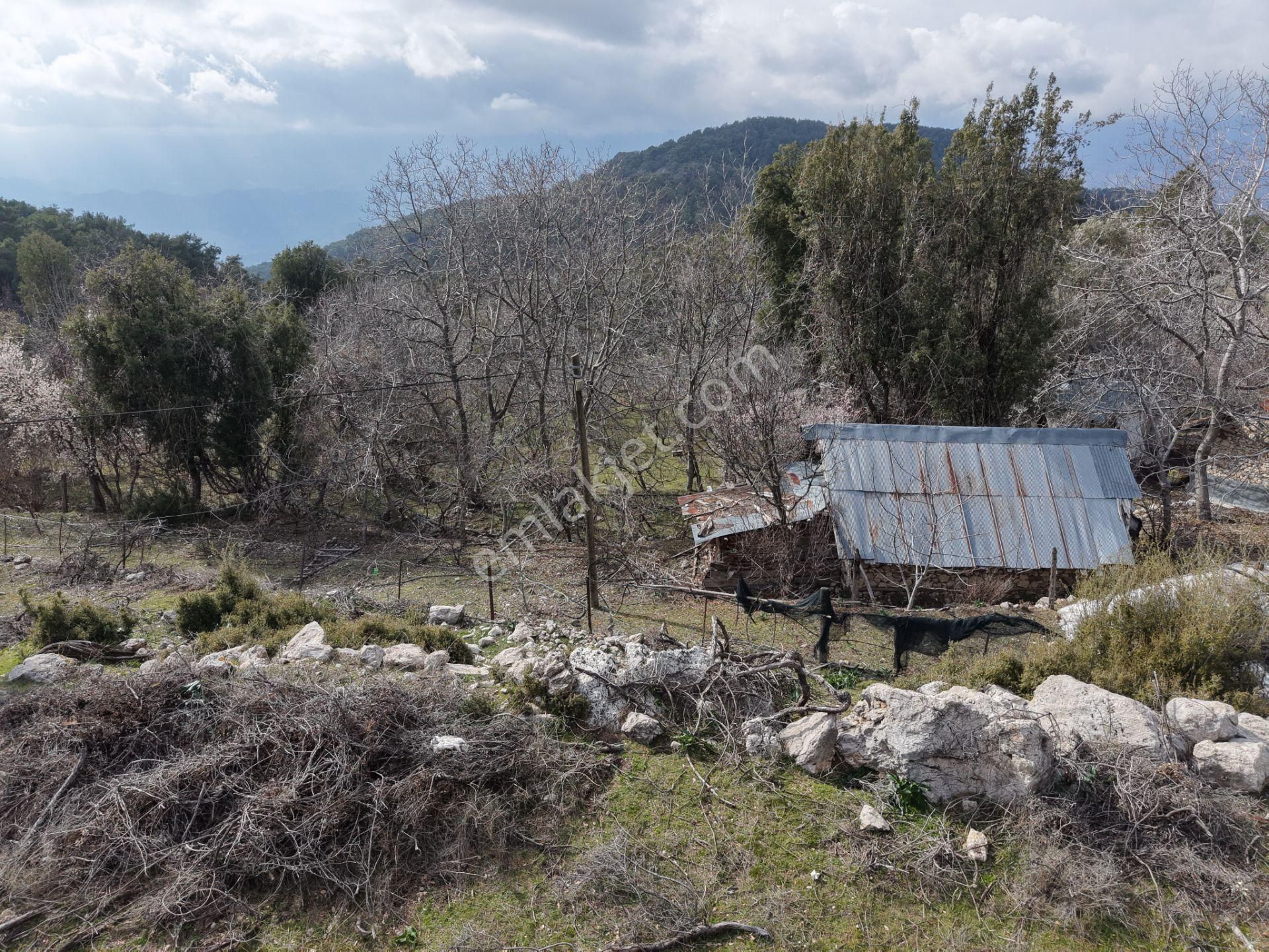 Antalya Kumluca Altınyaka Mahallesinde Satılık Arazi - Görsel 7