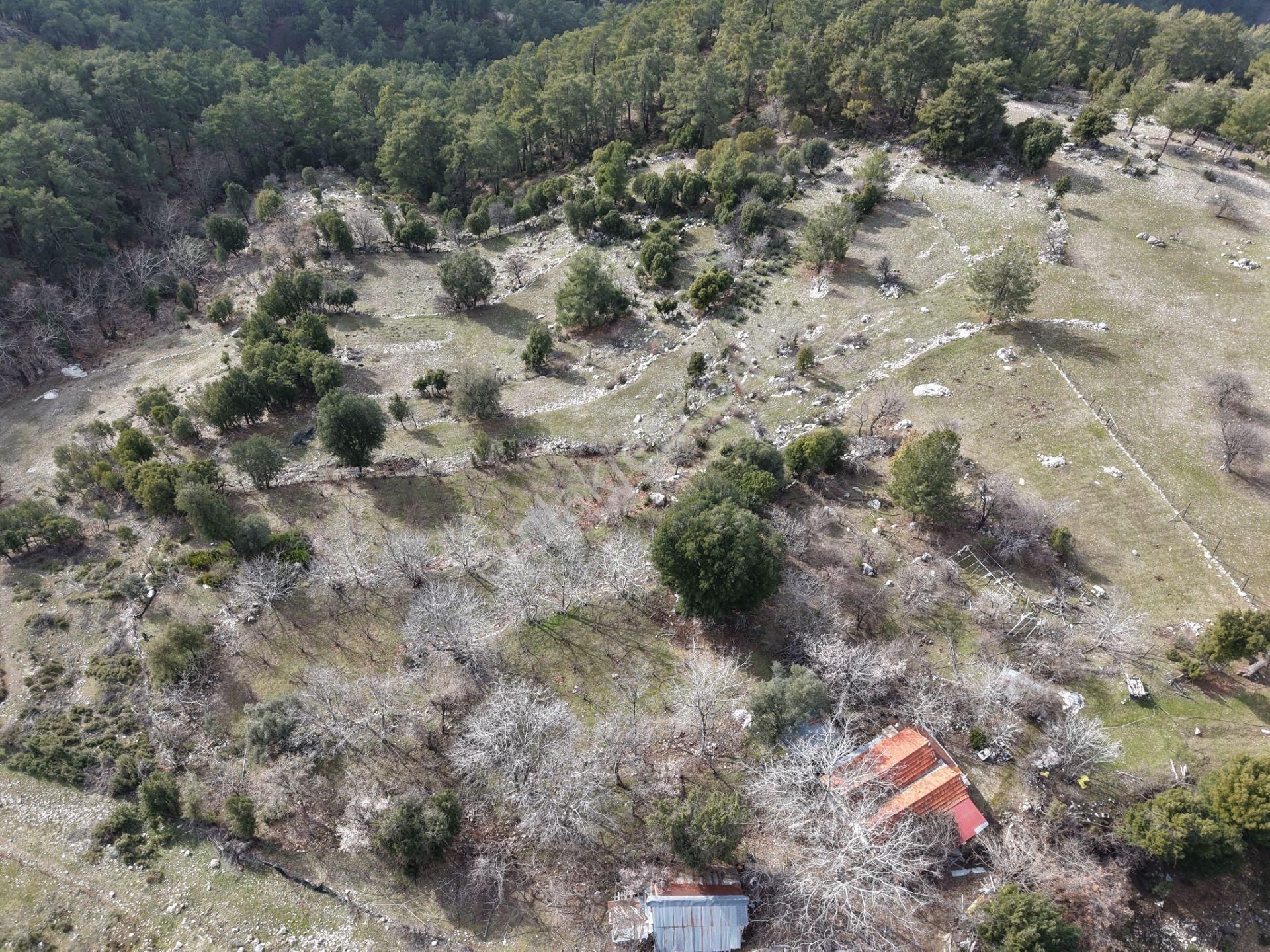 Antalya Kumluca Altınyaka Mahallesinde Satılık Arazi - Görsel 14