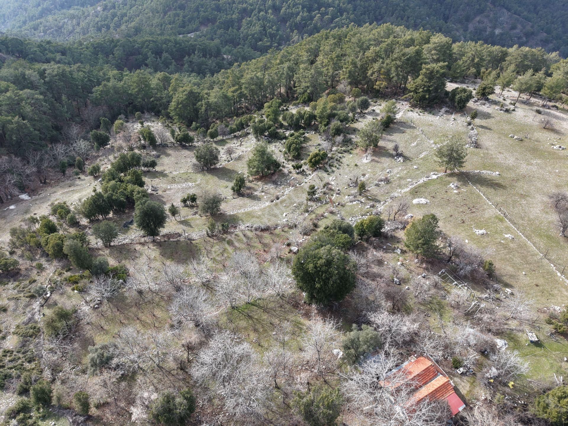 Antalya Kumluca Altınyaka Mahallesinde Satılık Arazi - Görsel 13