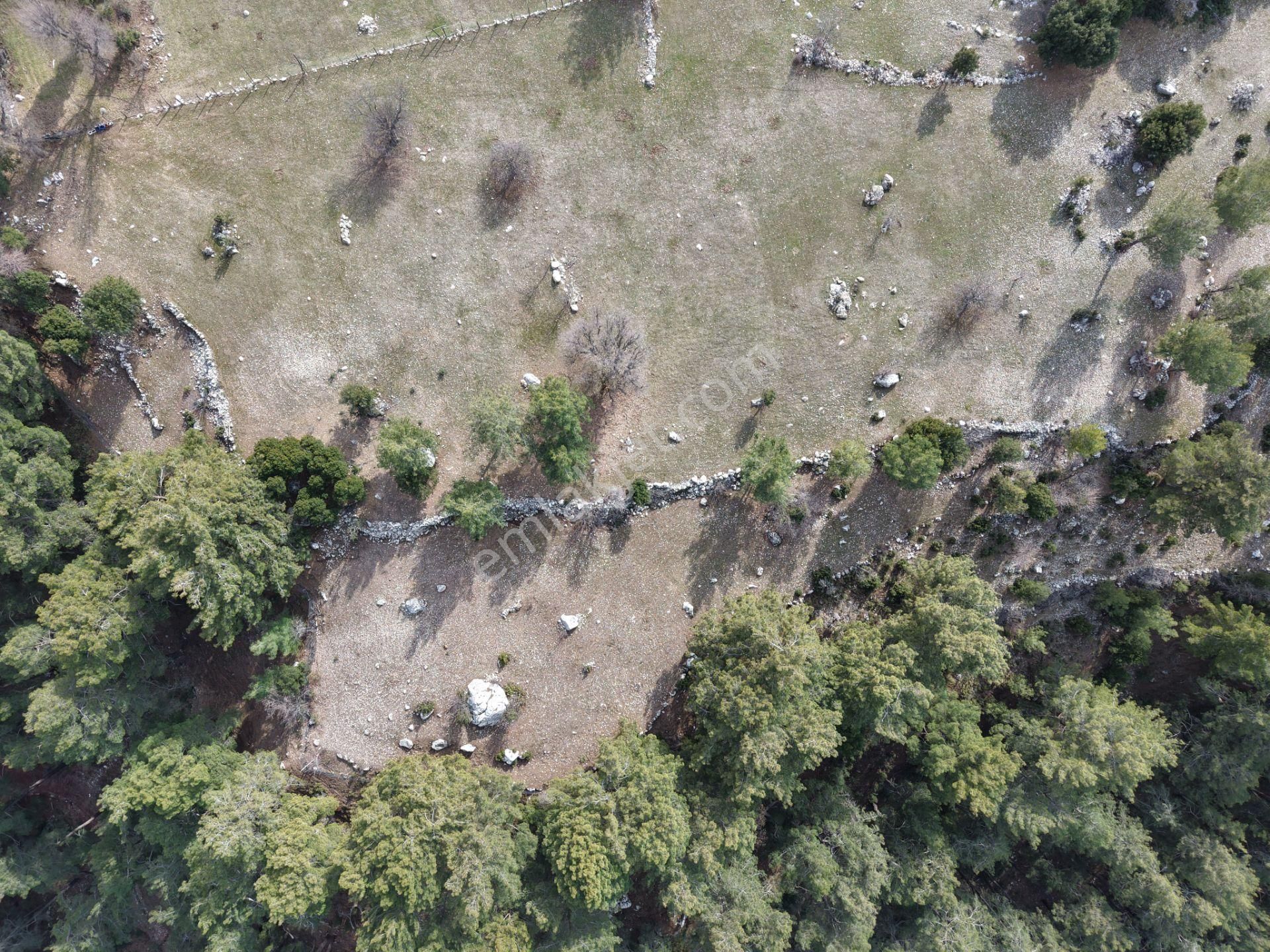 Antalya Kumluca Altınyaka Mahallesinde Satılık Arazi - Görsel 28