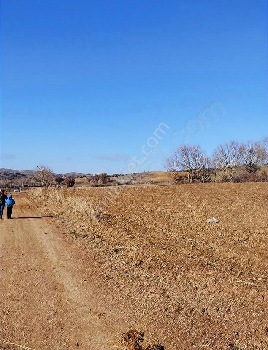 Karesi İbirler Satılık Tarla Aytar's Gayrimenkul Balıkesir Karesi İbirler Satılık Arazi