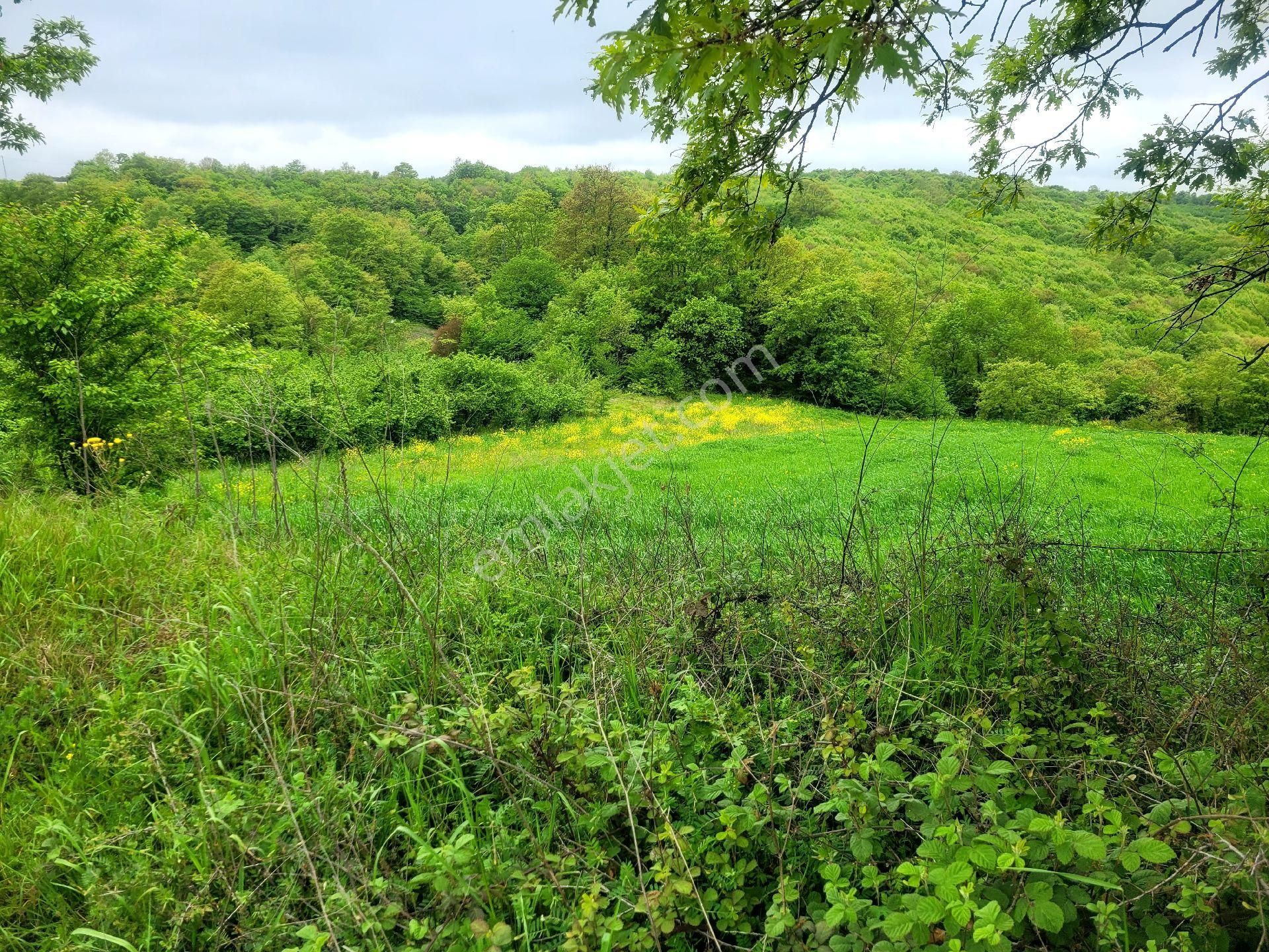 Asfalta Cephe Tam Bir Fırsat - Görsel 39