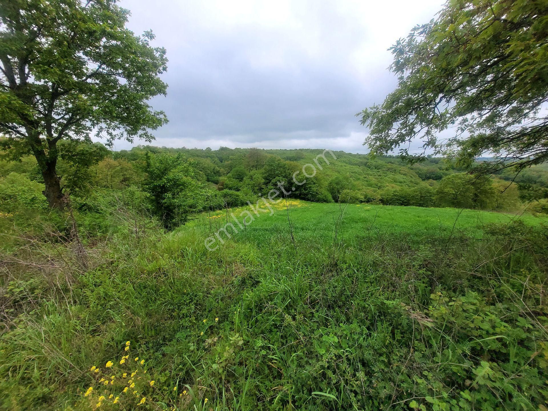 Asfalta Cephe Tam Bir Fırsat - Görsel 44