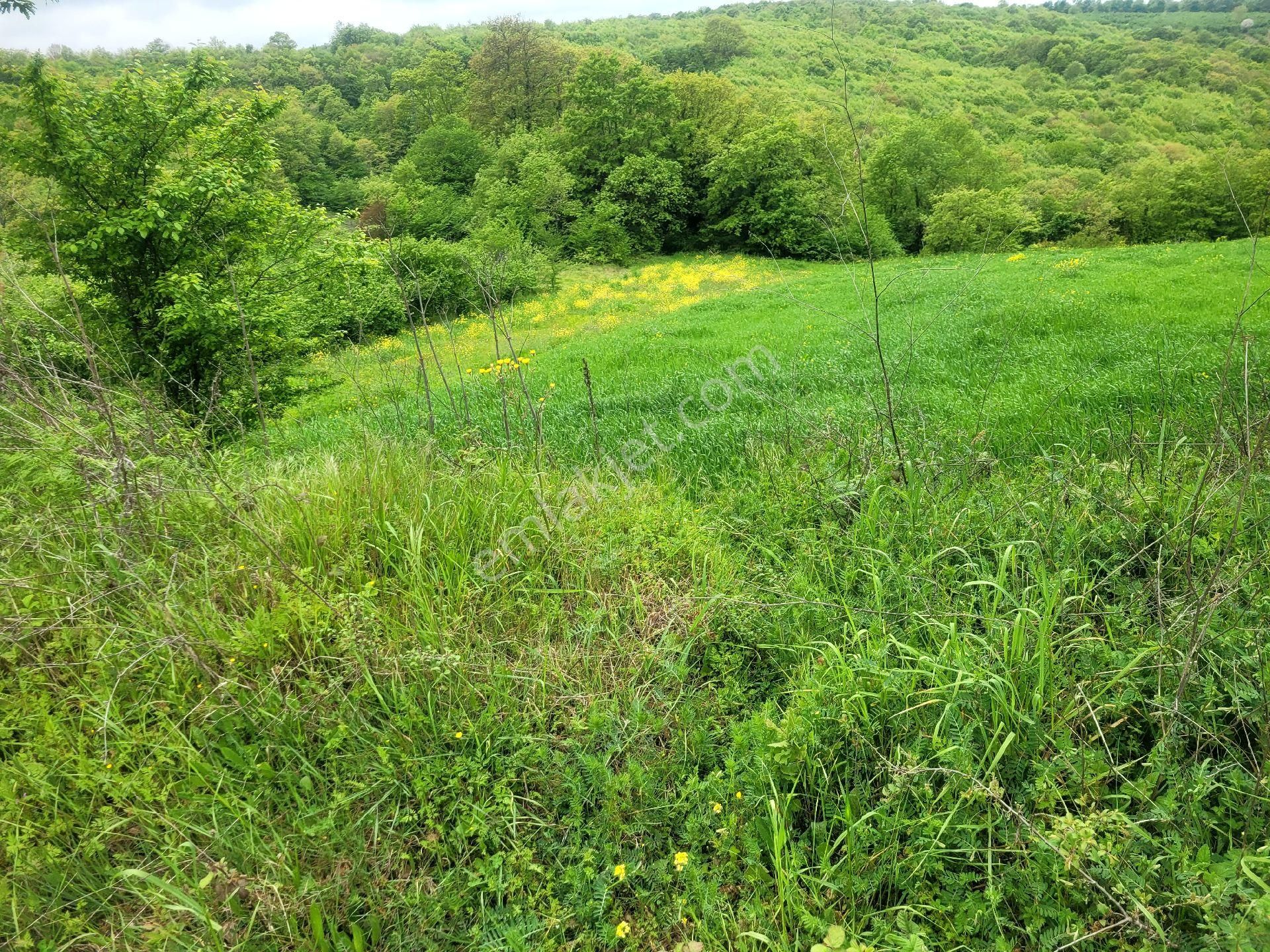 Asfalta Cephe Tam Bir Fırsat - Görsel 38