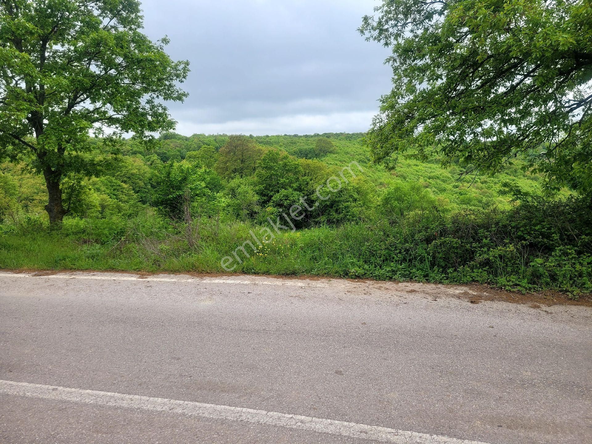 Asfalta Cephe Tam Bir Fırsat - Görsel 40