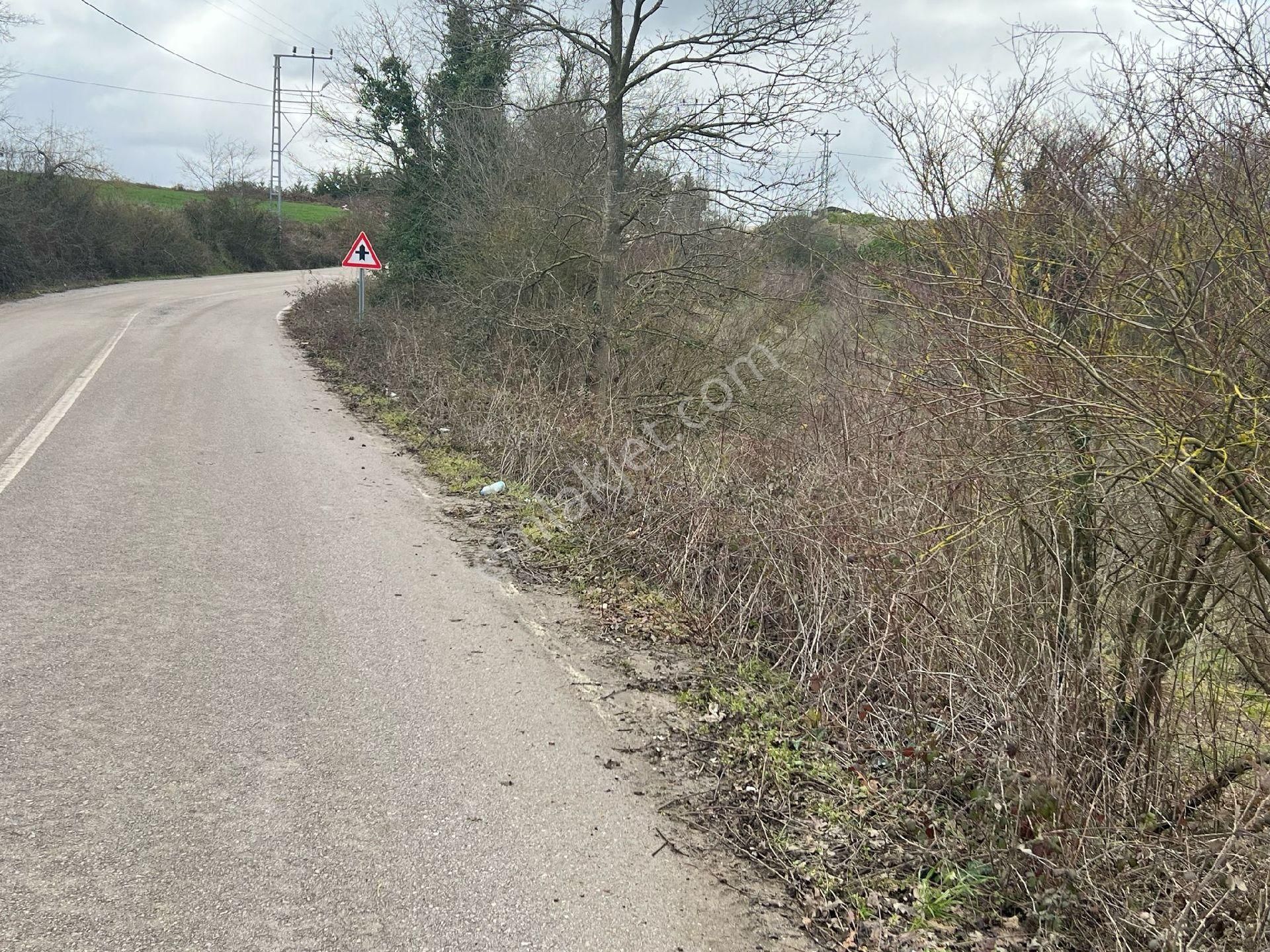 Asfalta Cephe Tam Bir Fırsat - Görsel 23