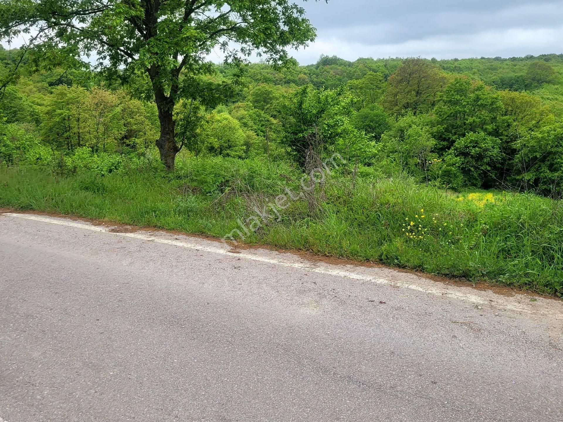 Asfalta Cephe Tam Bir Fırsat - Görsel 41