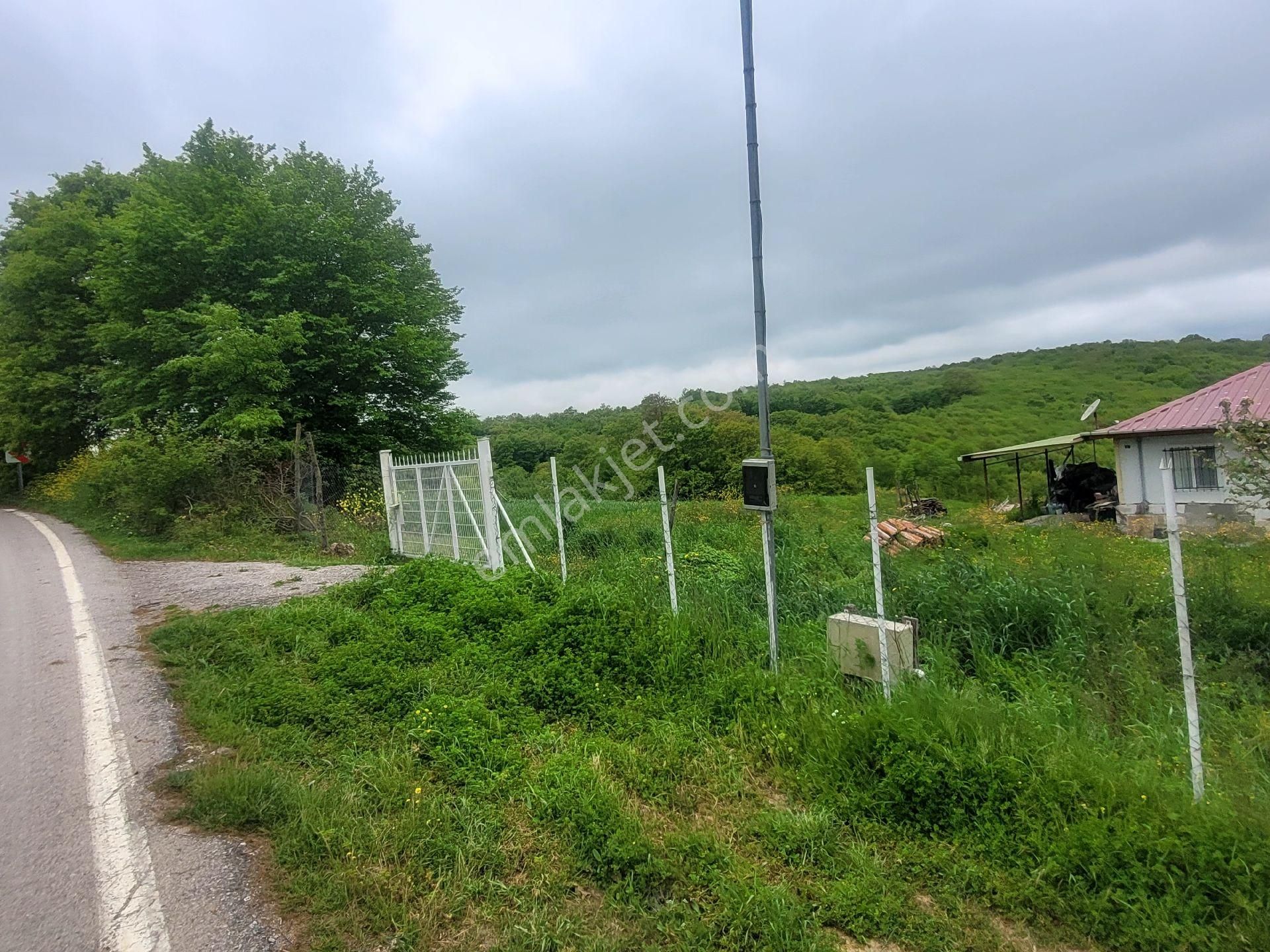 Asfalta Cephe Tam Bir Fırsat - Görsel 45