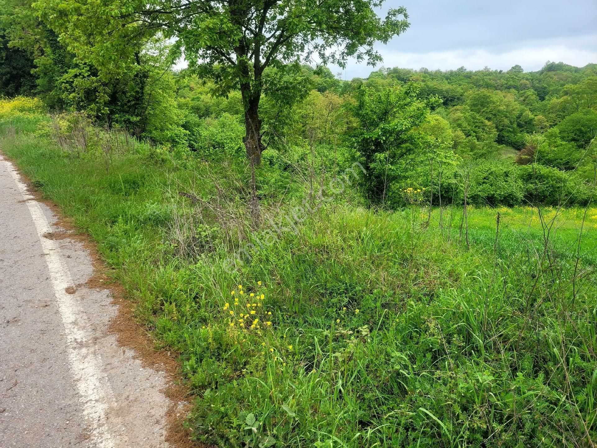 Asfalta Cephe Tam Bir Fırsat - Görsel 37