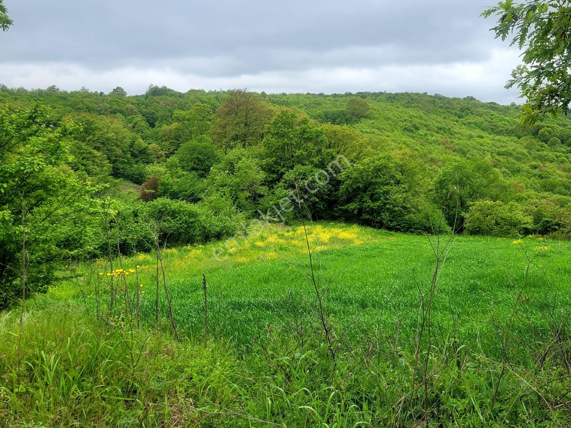 Asfalta Cephe Tam Bir Fırsat - Görsel 43