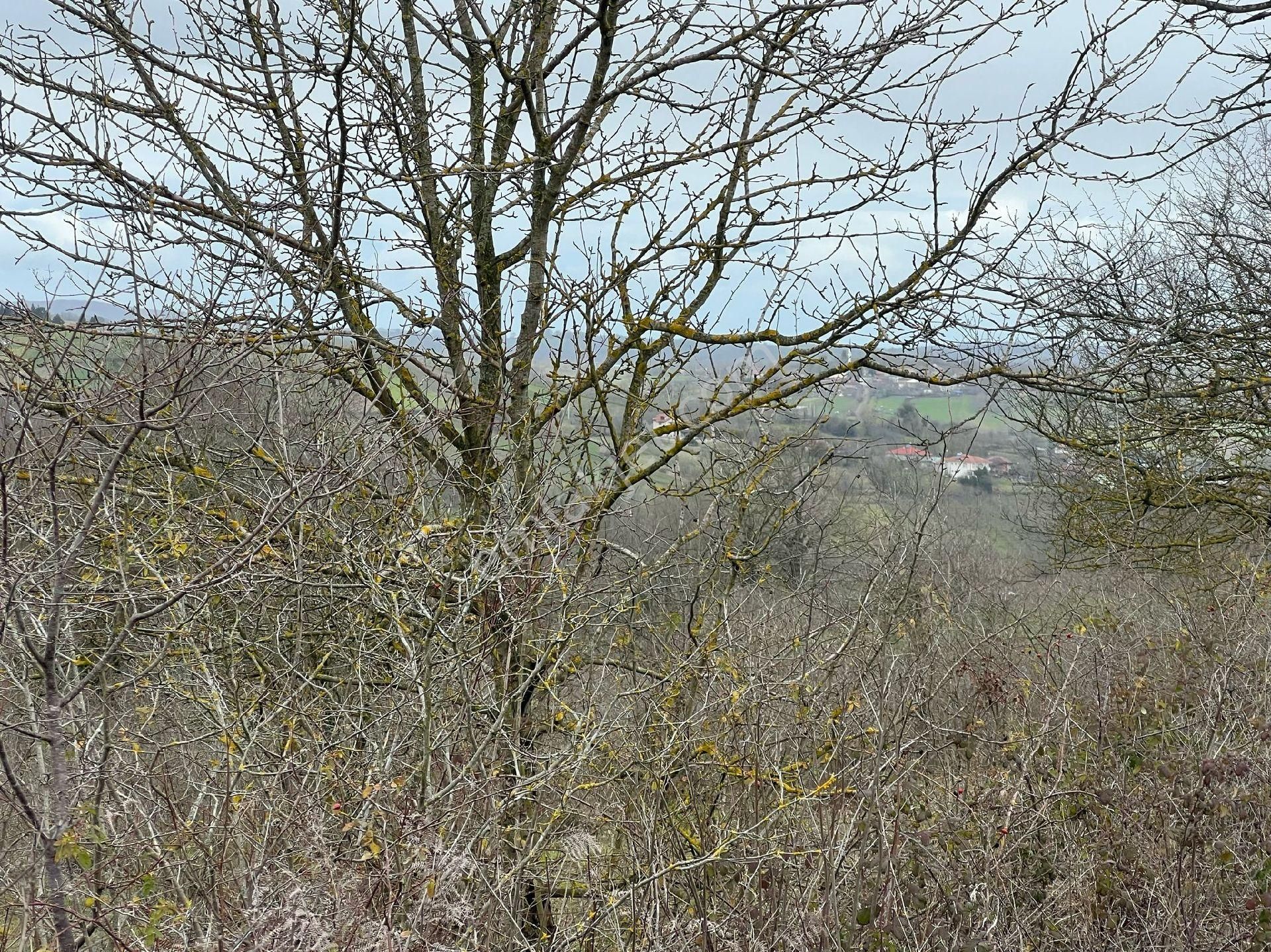 Asfalta Cephe Tam Bir Fırsat - Görsel 27