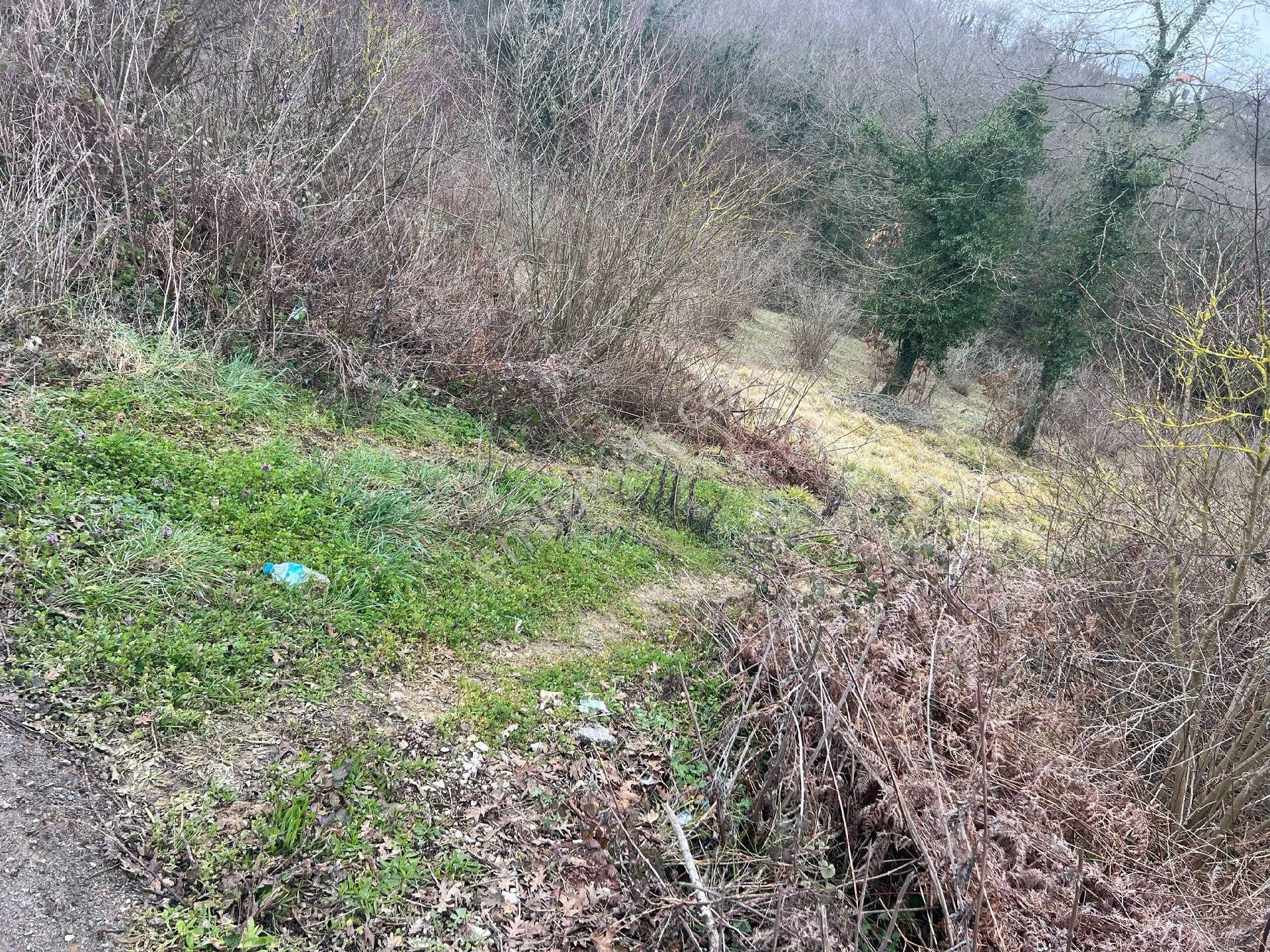 Asfalta Cephe Tam Bir Fırsat - Görsel 29