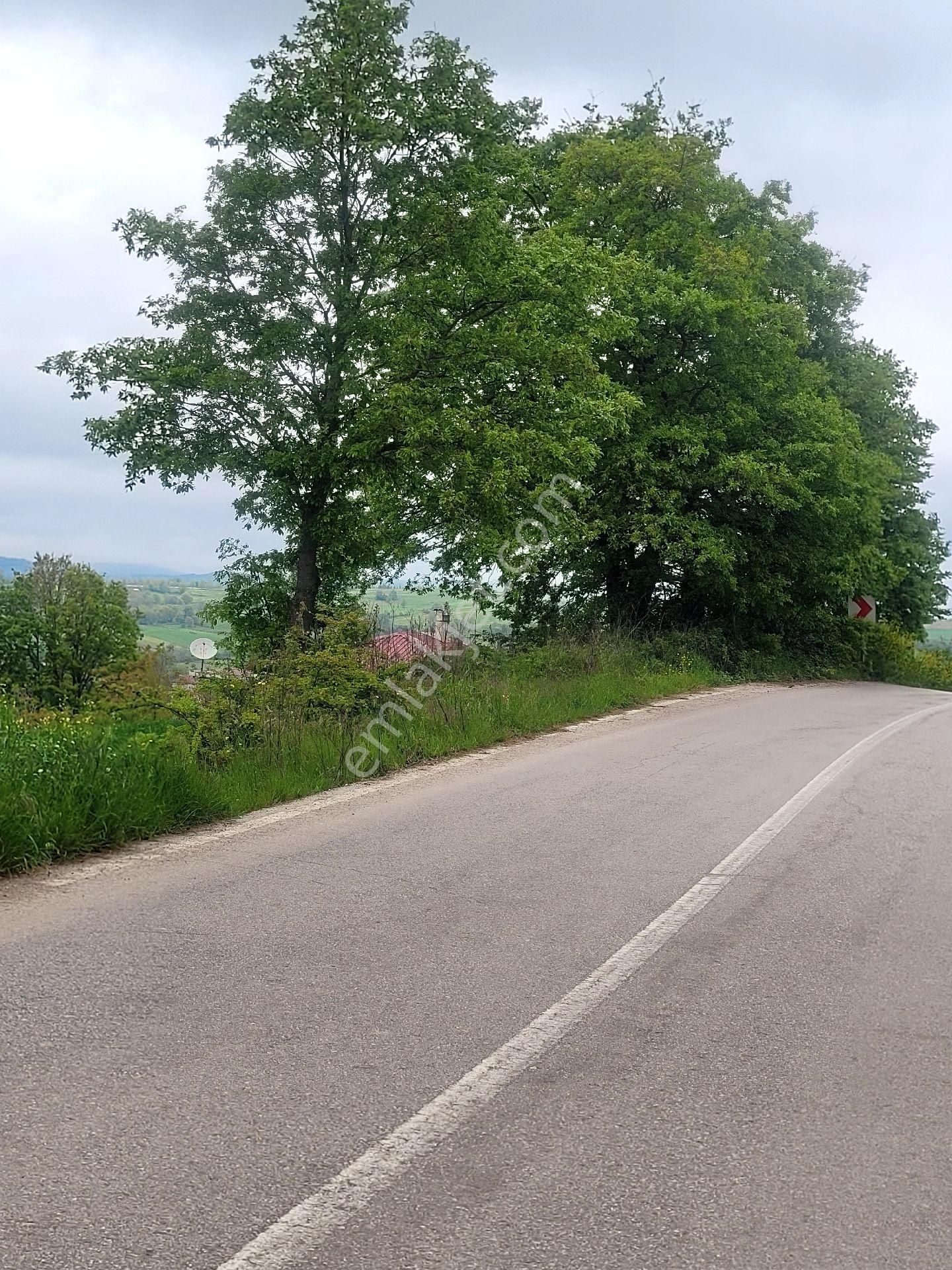 Asfalta Cephe Tam Bir Fırsat - Görsel 33