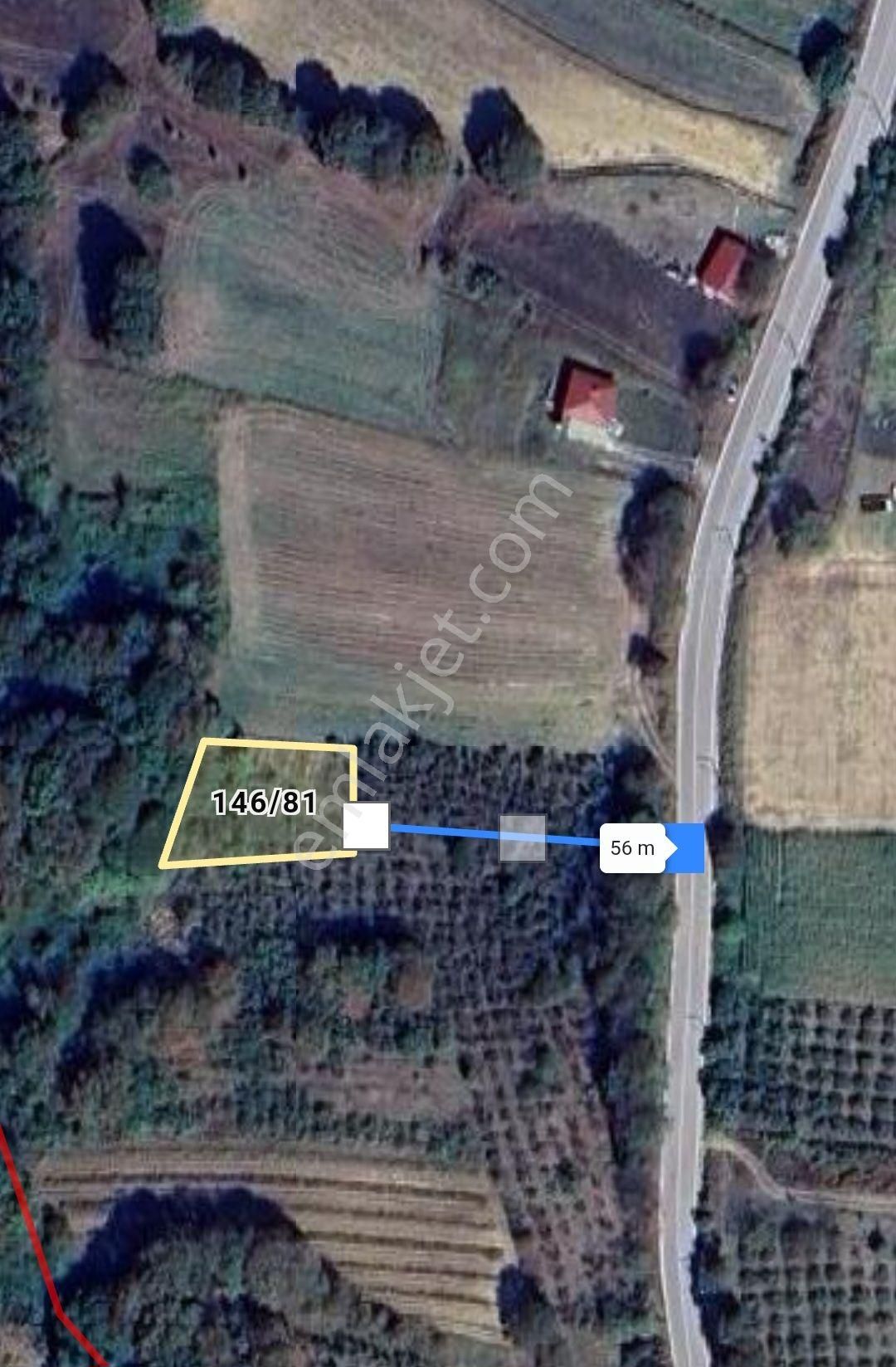 Asfalta Cephe Tam Bir Fırsat - Görsel 16