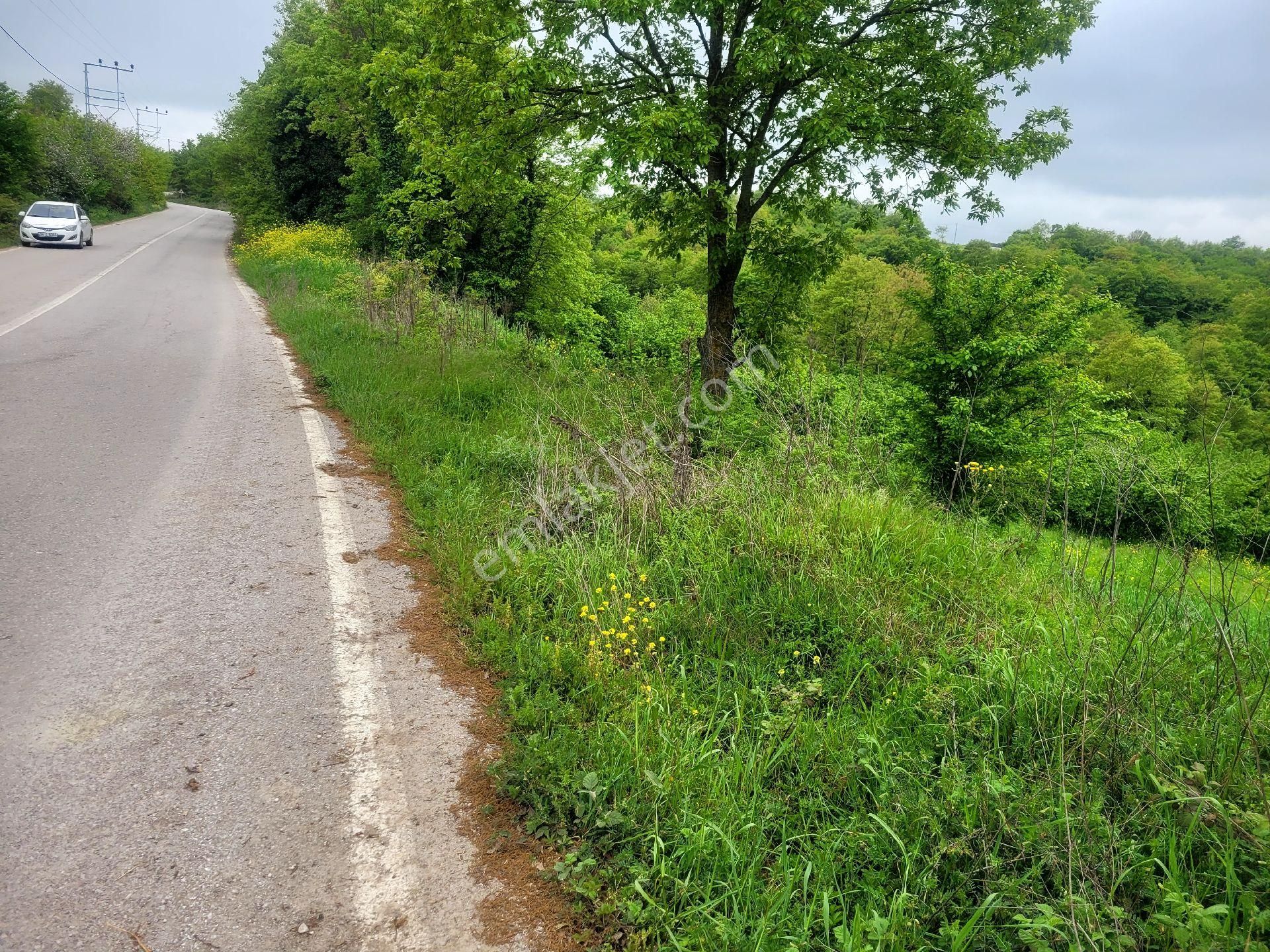 Asfalta Cephe Tam Bir Fırsat - Görsel 36