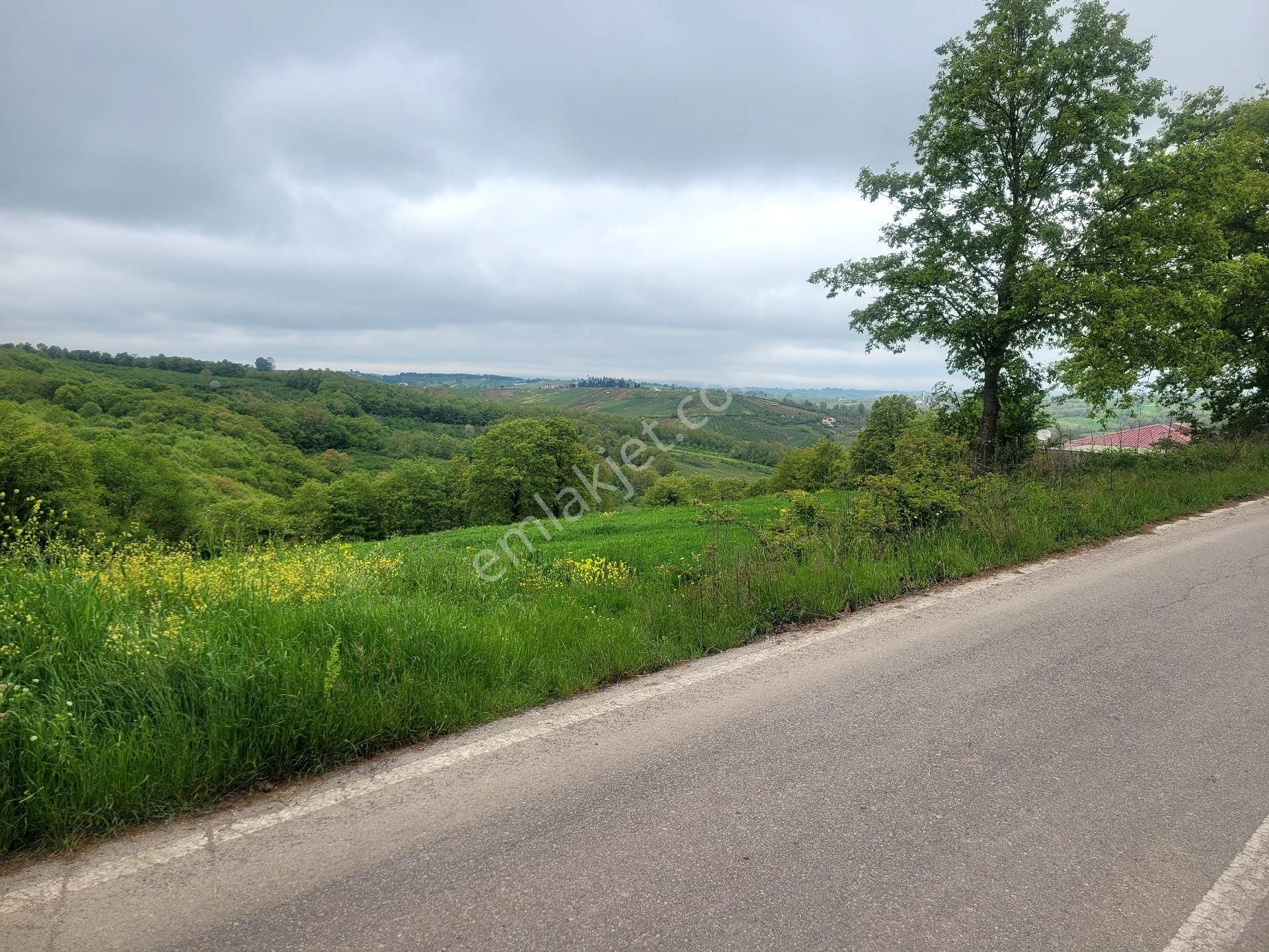 Asfalta Cephe Tam Bir Fırsat - Görsel 35