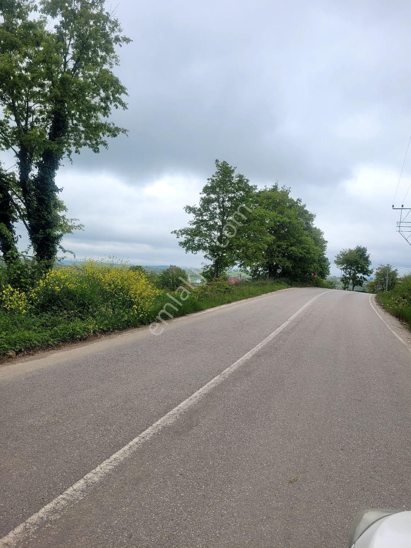 Asfalta Cephe Tam Bir Fırsat - Görsel 34