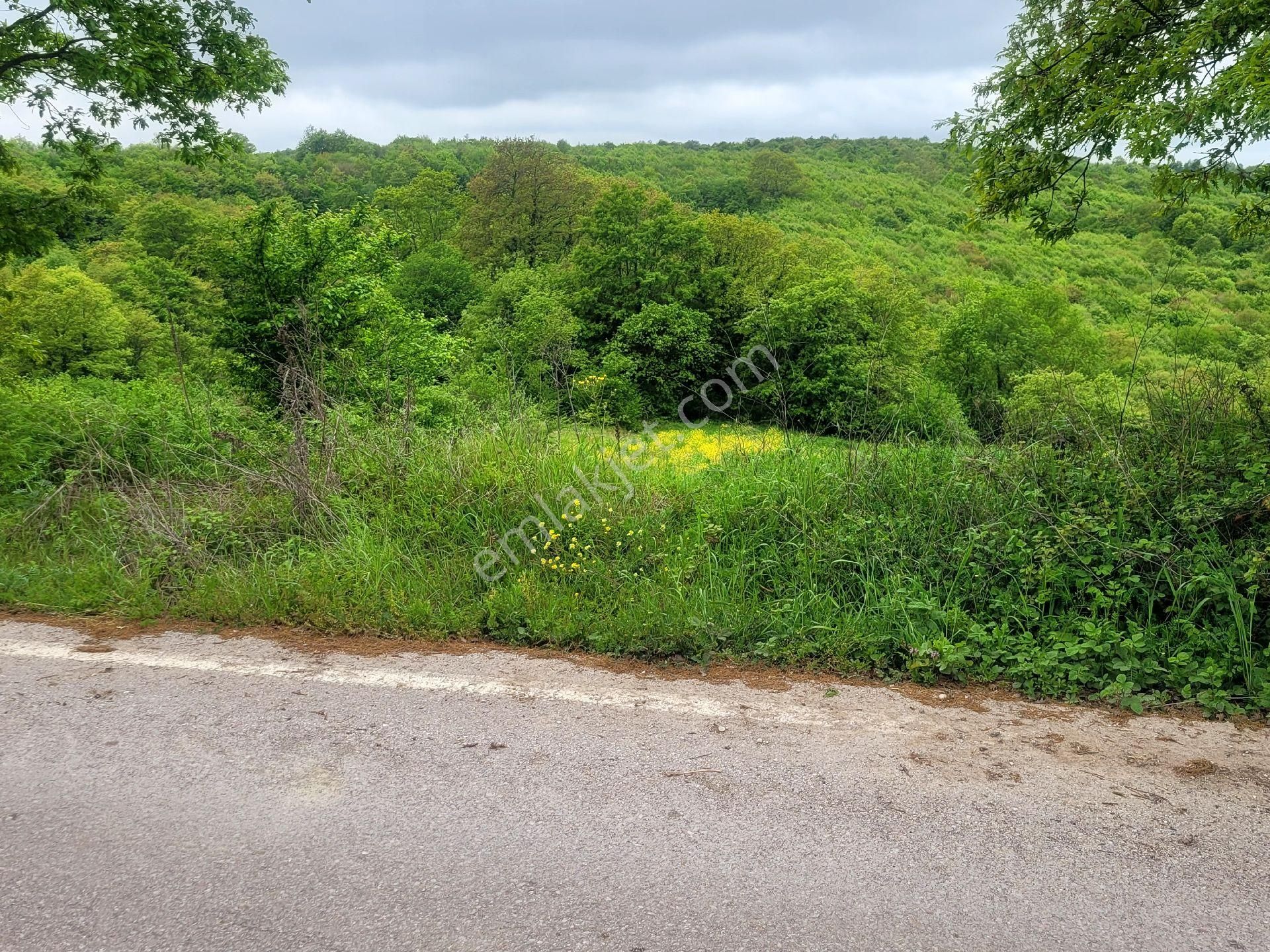 Asfalta Cephe Tam Bir Fırsat - Görsel 42