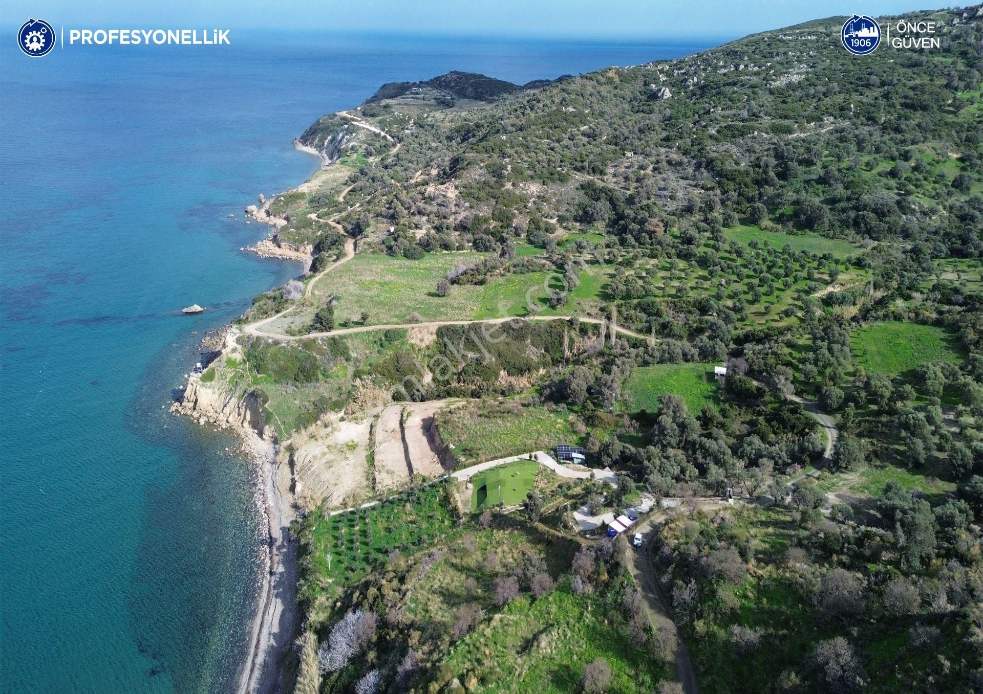 Karaburun Hasseki Satılık Tarla Karaburun Hasseki'de Denize 50 M Mesafede Fırsat Tarla