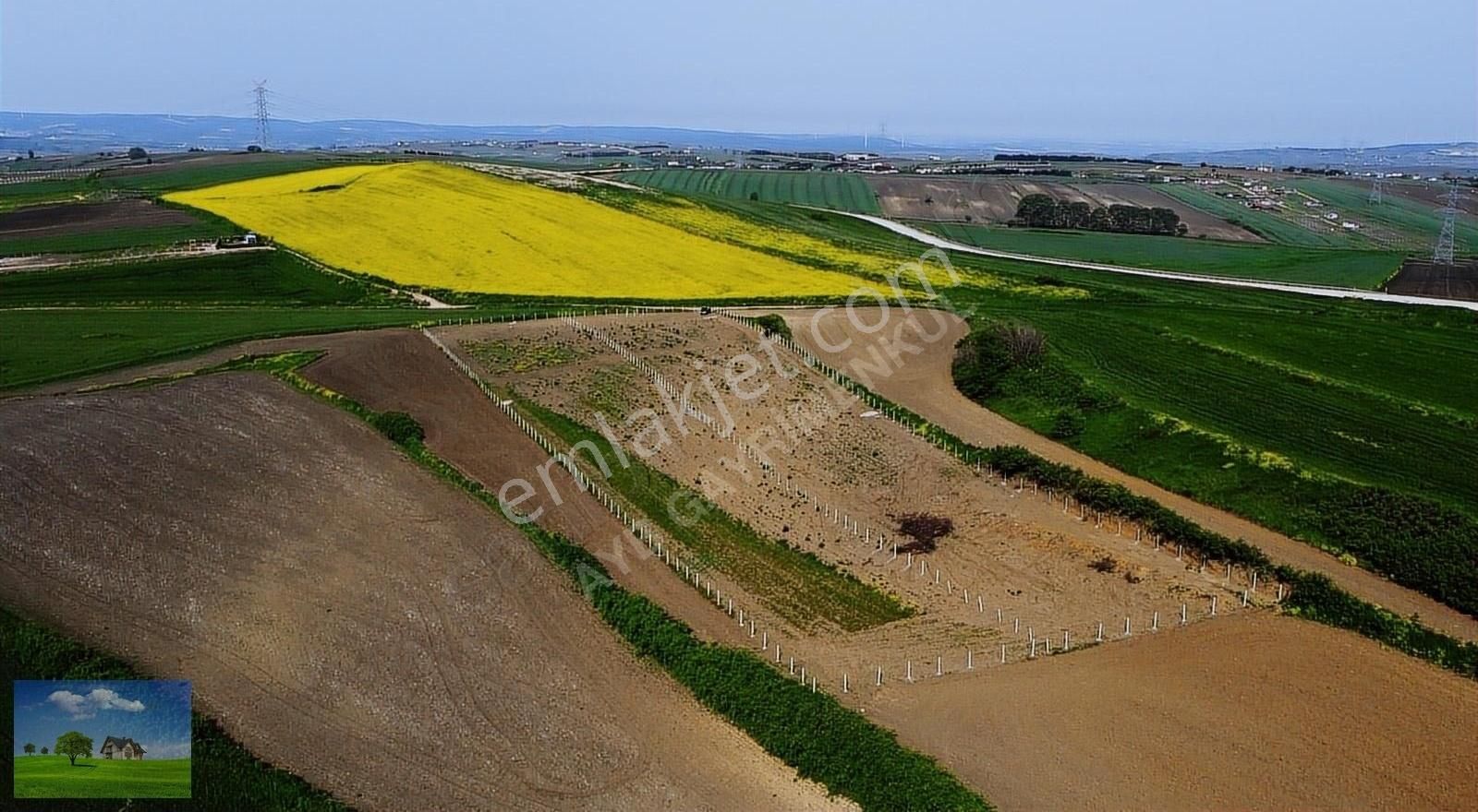 Silivri Kurfallı Satılık Tarla Ayb Gayrimenkul'den Silivri/kurfallı 2 Adet Tek Tapu Yola Cephe