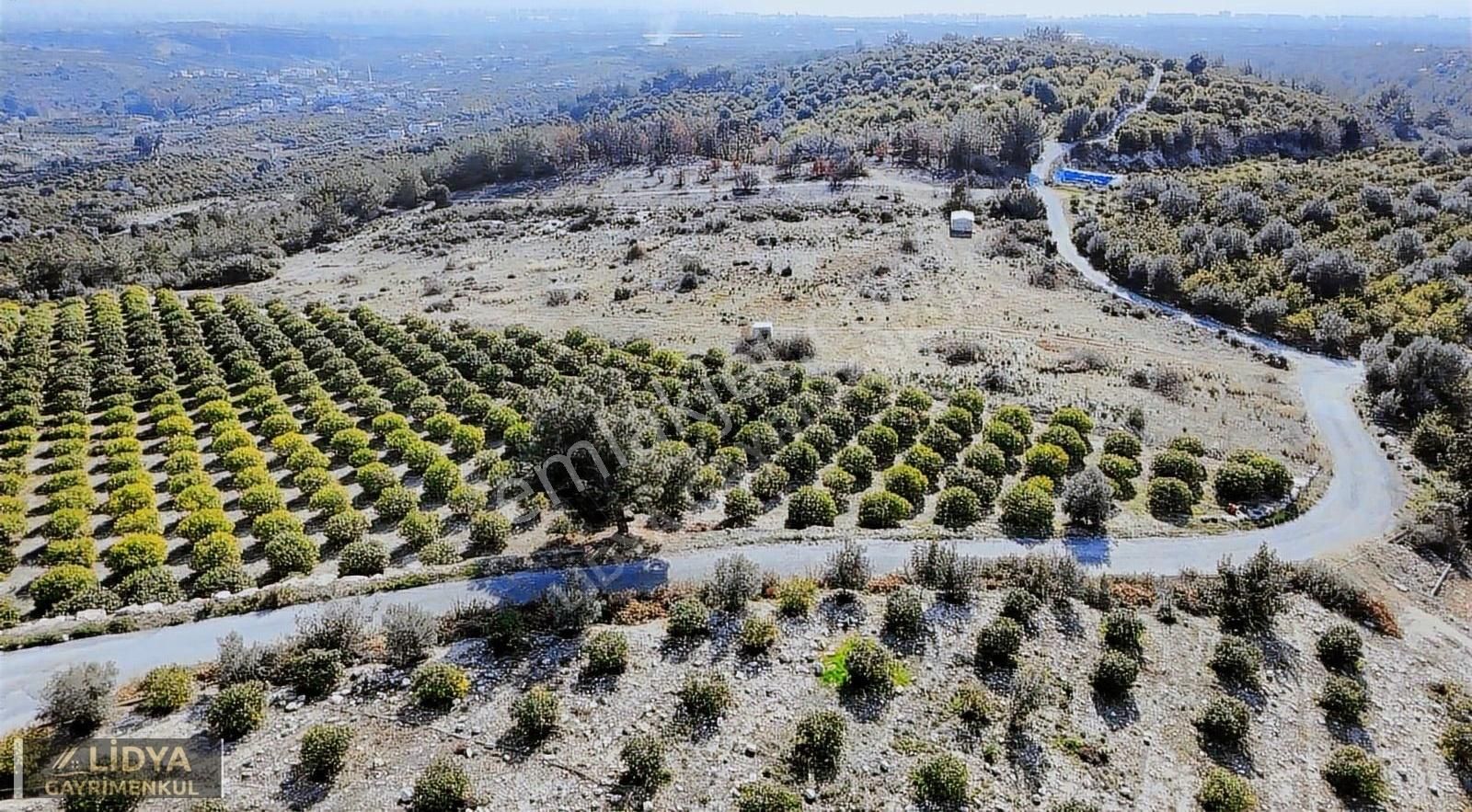 Erdemli Hacıhalilarpaç Satılık Tarla Elvanlı H.h. Arpaçta Satılık Şehir Ve Deniz Manzaralı Tarla