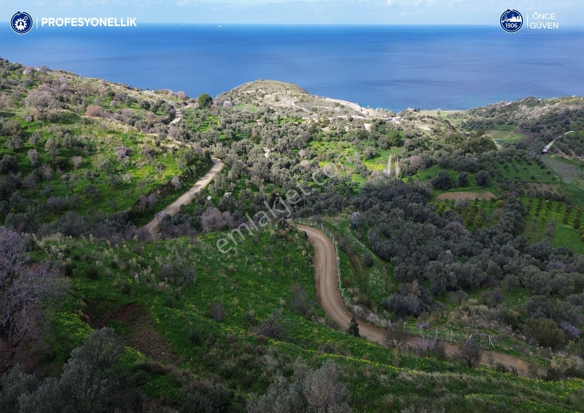 Karaburun Hasseki Satılık Tarla Karaburun Hassekide Yaşamın İçinde Deniz Ve Doğa Manzaralı Tarla