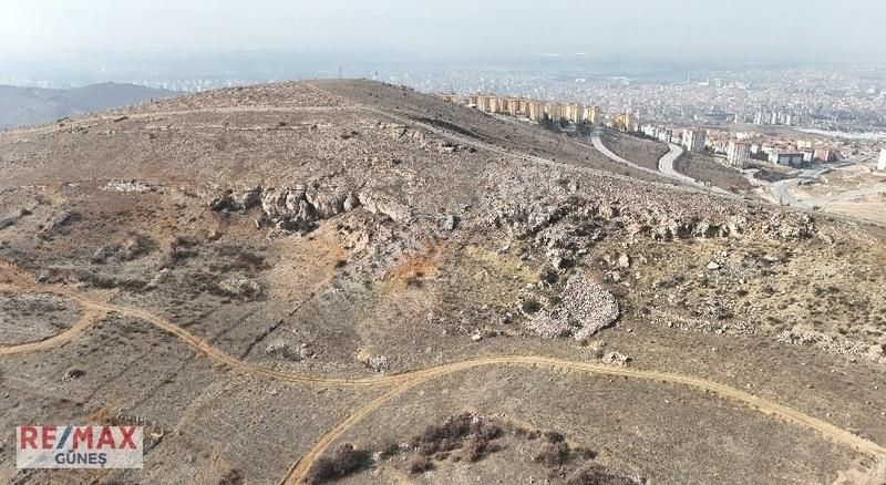 Yeşilyurt Konak Satılık Bağ & Bahçe Konak'ta Remax Güneş'ten 800 Metrekare Yatırımlık Bağ