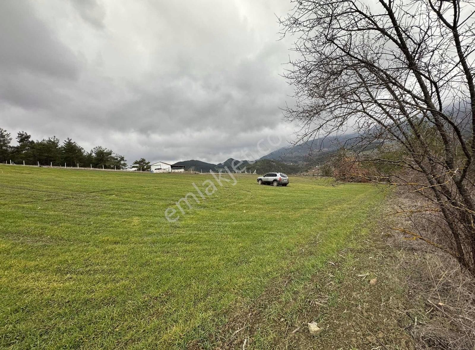 Sng Gayrimenkul Den Çamlıkta 4.098 M2 Arazi - Görsel 6