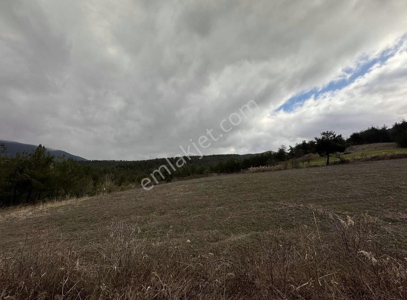 Sng Gayrimenkul Den Çamlıkta 4.098 M2 Arazi - Görsel 2