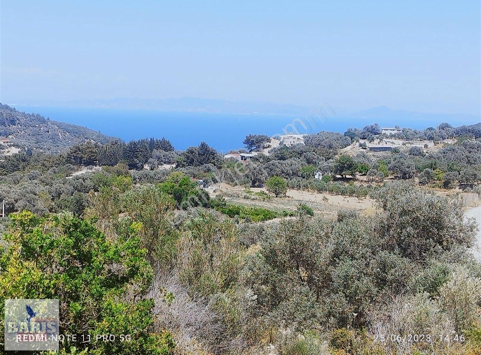 Karaburun Eğlenhoca Satılık Bağ & Bahçe Barış Emlaktan Eğlenhoca Da Satılık Zeytin Ağaç Deniz Manzaralı