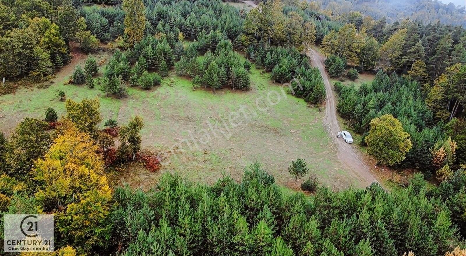 İznik Elmalı Satılık Tarla C21 Cius; İznik Elmalıda Bungalov İçin Uygun Satılık Tarla