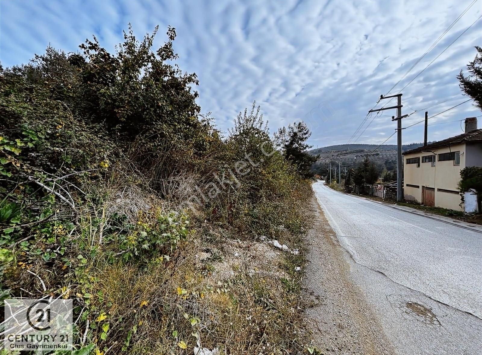 Gemlik Umurbey Satılık Tarla C21 Cius; Umurbey'de Yola Cephe Yatırımlık Satılık Tarla